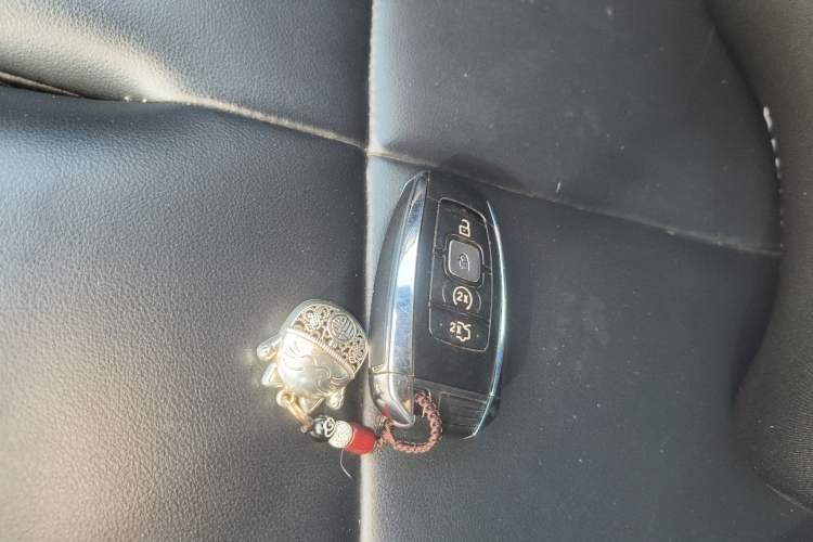 Used Lincoln Continental 2018 2.0T Two-Wheel Drive Zunyue Edition
