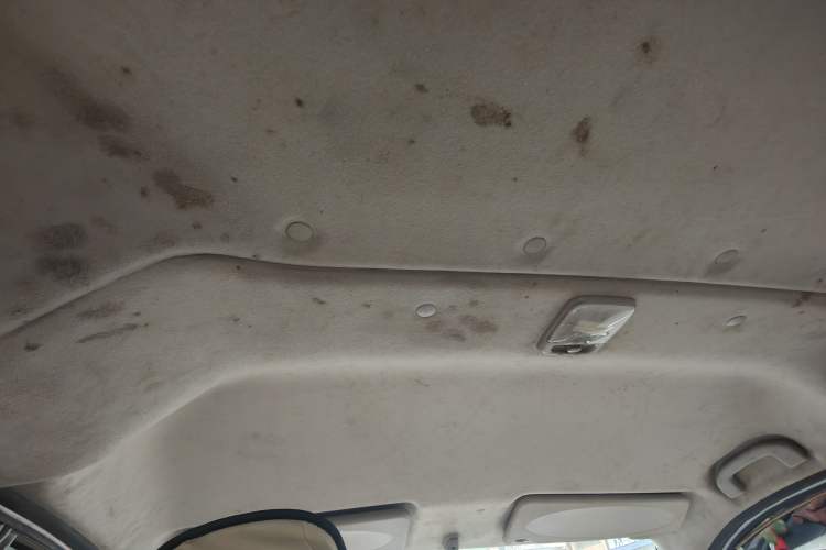 Used Nissan NV200 2012 1.6L 232 Seats Luxury Version Headliner