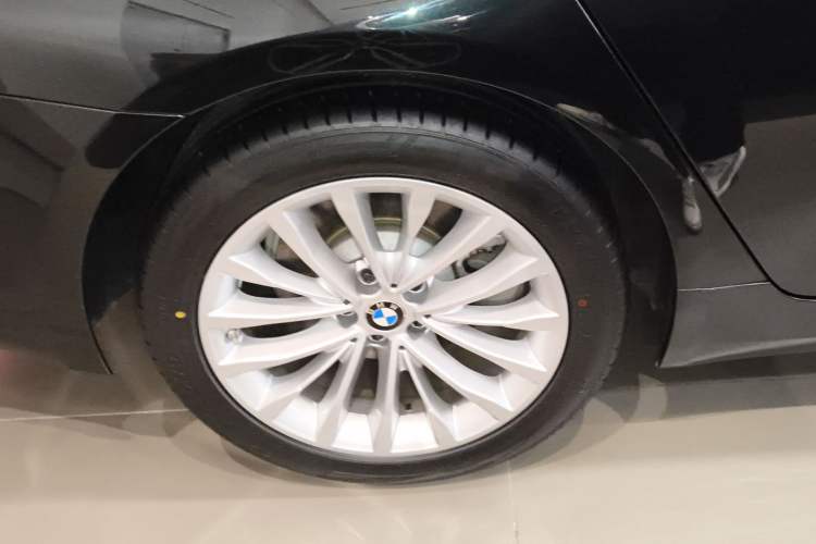 Used BMW 5 Series 2020 530Li Luxury Edition Premium Package