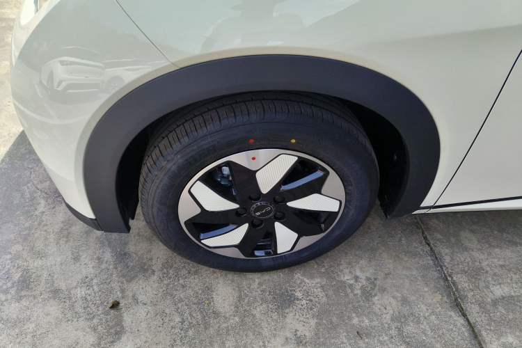 Used BYD Dolphin 2025 420km Free Edition
