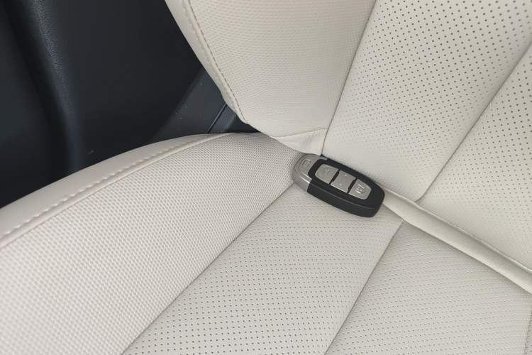 Used Hongqi E-QM5 2024 560km PLUS
