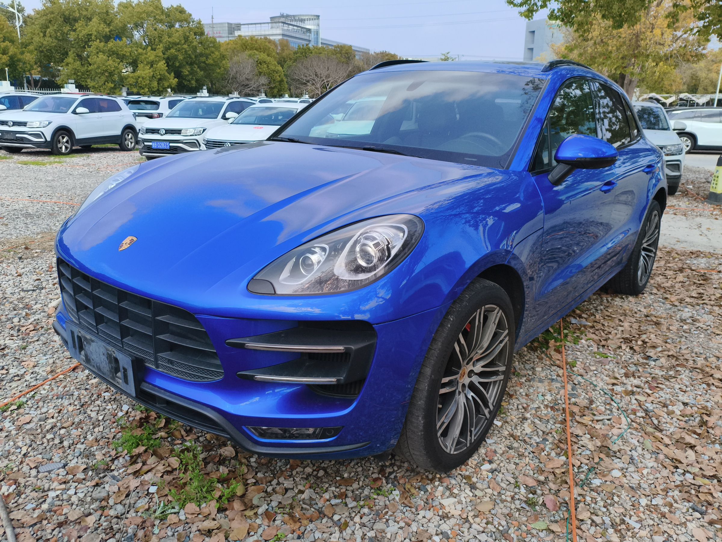 Parte inferior delantera