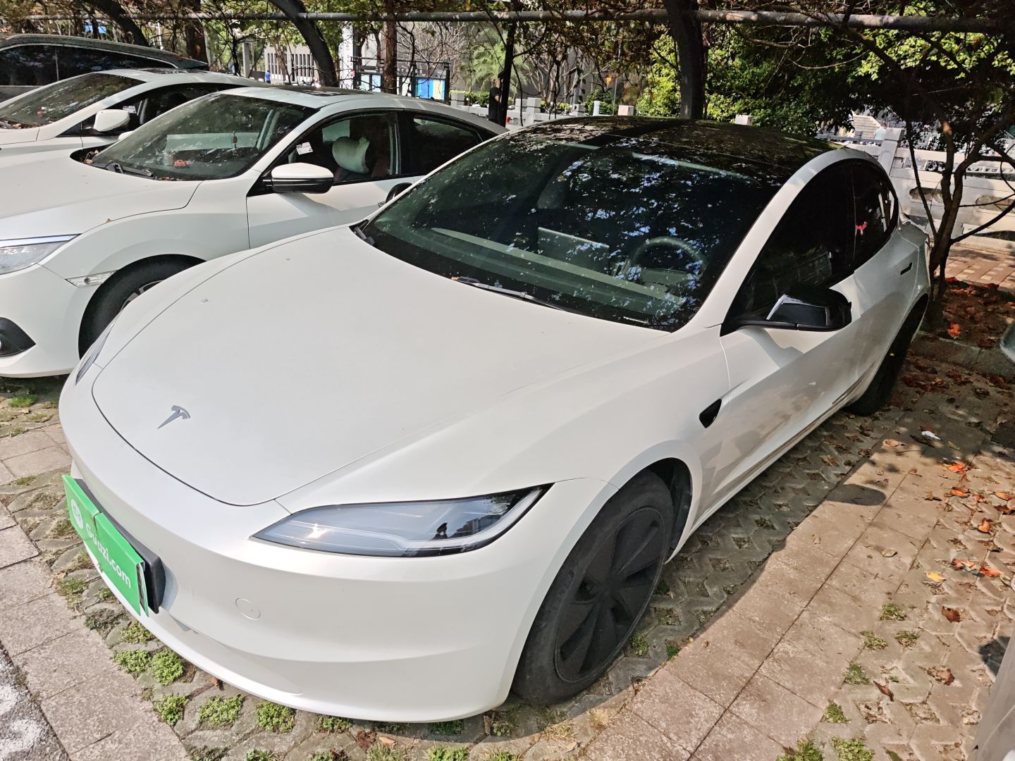 Parte inferior delantera