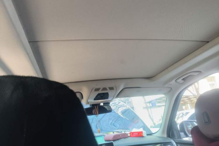 Used BMW X5 2013 xDrive35i Luxury Edition Headliner