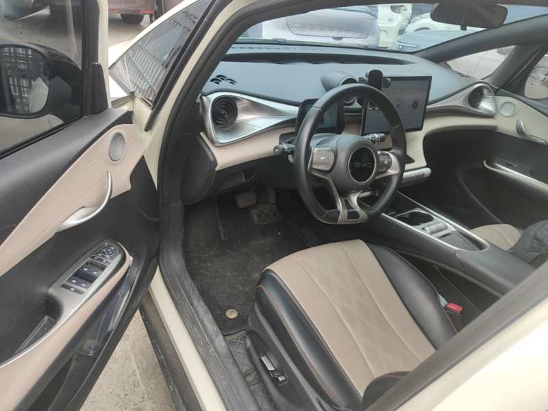 Used BYD Dolphin 2025 420km Fashion Edition — 15