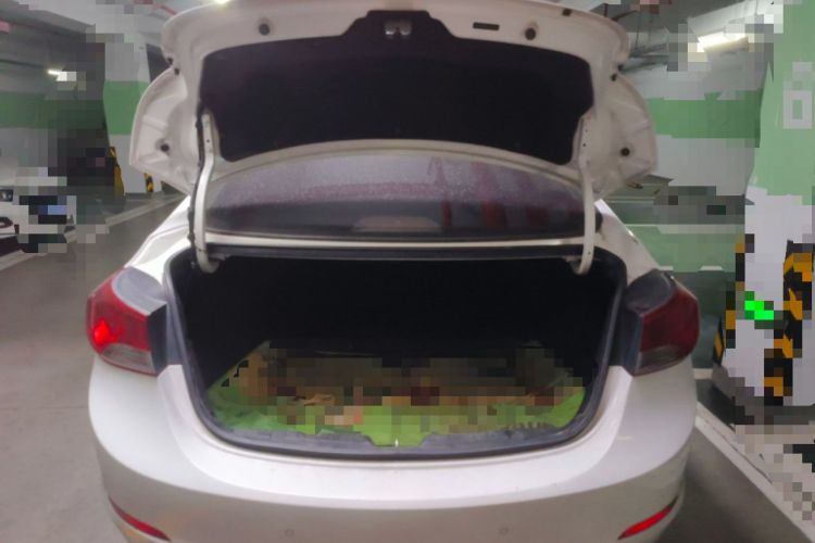 Used Hyundai Elantra (5th Generation / Langdong) 2015 1.6L Automatic Fashion Model Trunk