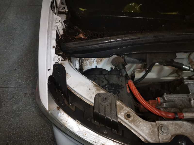 Used Wuling Hongguang MINIEV 2020 Enjoyment Model Lithium Iron Phosphate — 22