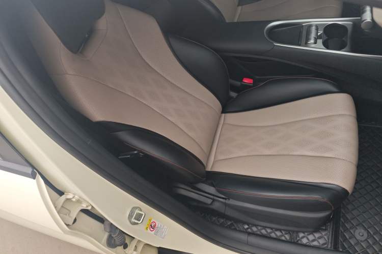 Used BYD Dolphin 2023 420 km Free Version Right Front Seat