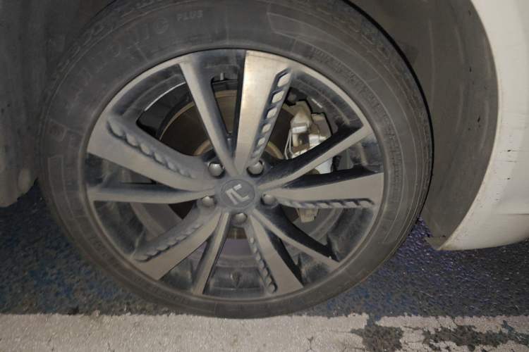 Used Rising ER6 2021 New Dynamic Edition 620km Smart Drive Version