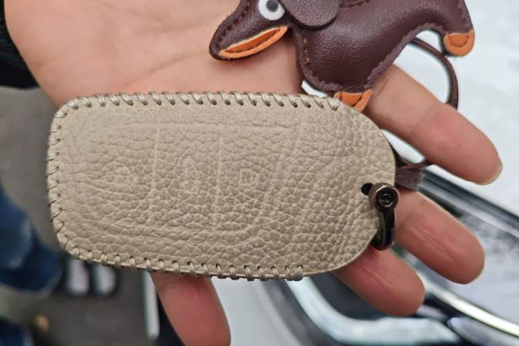 Used Chery Little Ant 2024 321km - Only Love Edition Vehicle Key