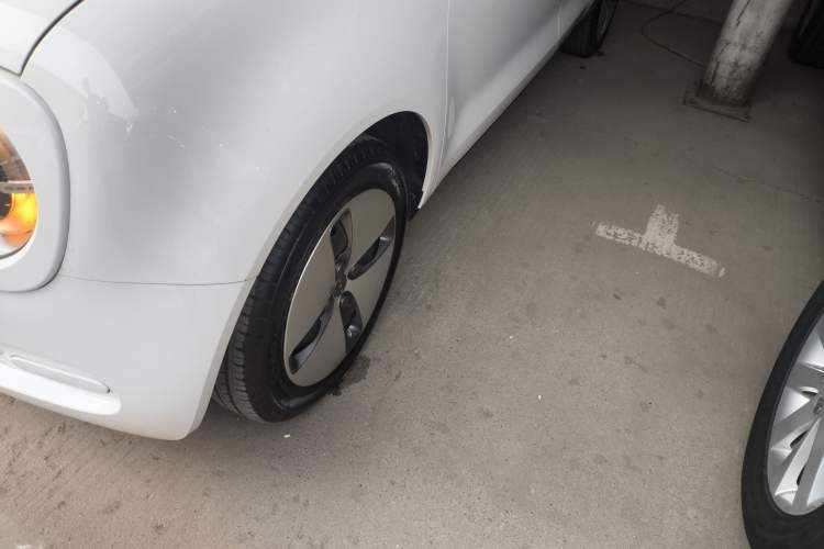 Used ORA Black Cat 2019 301km Standard Edition
