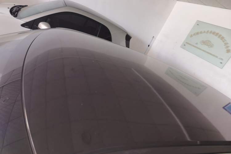 Used ORA White Cat 2020 305 km Luxury Version