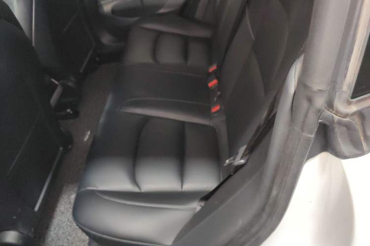 Used Tesla Model 3 2019 Standard Range Rear-Drive Upgraded Version