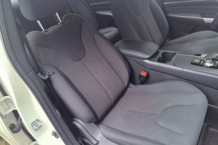 Used Venucia D60EV 2023 PLUS Comfort Edition CI Model Right Front Seat