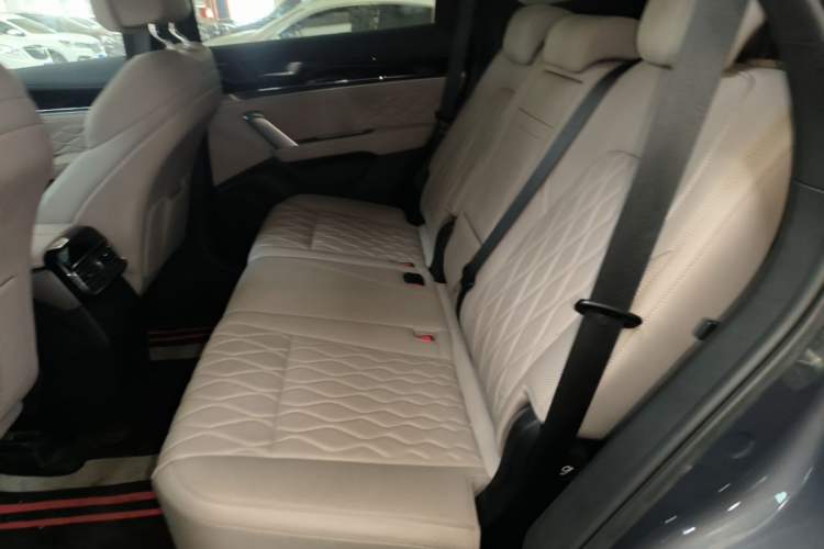 Used BYD Tang New Energy 2024 DM-i Glory Edition 200KM Flagship Model Left Rear Seat