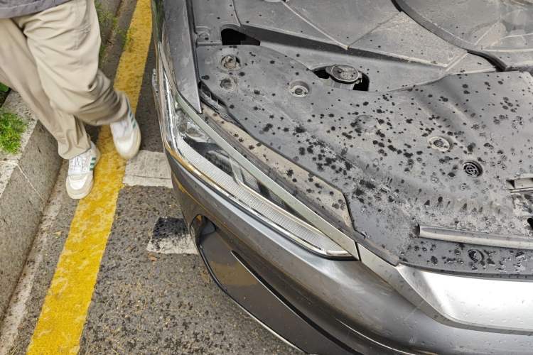 Used BYD Qin PLUS 2021 EV 500KM Luxury Model