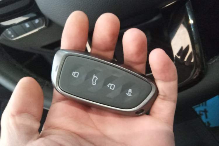 Used Haval H9 2024 2.0T Gasoline All-Wheel-Drive Extreme Edition Vehicle Key