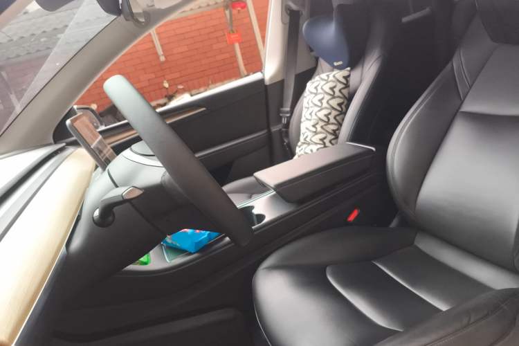 Used Tesla Model Y 2021 Standard Range Rear-Wheel Drive Version
