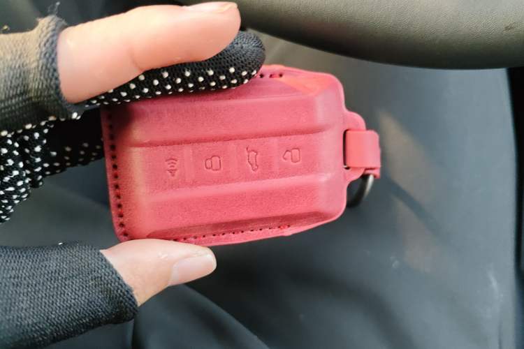 Used Tank 300 New Energy 2025 Hi4-T