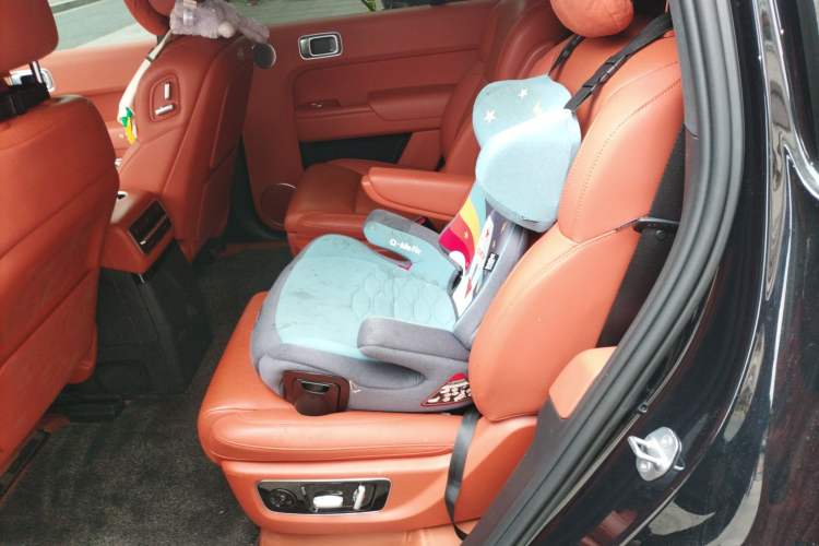 Used Li Auto L9 2023 Pro Model
