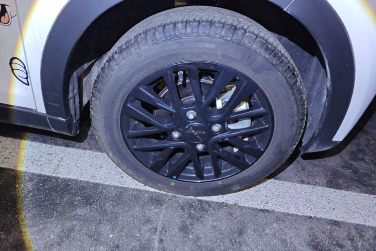 Used Chery Little Ant 2024 Revised Version Youth Edition 251 km True Love Edition 25.05 kWh
