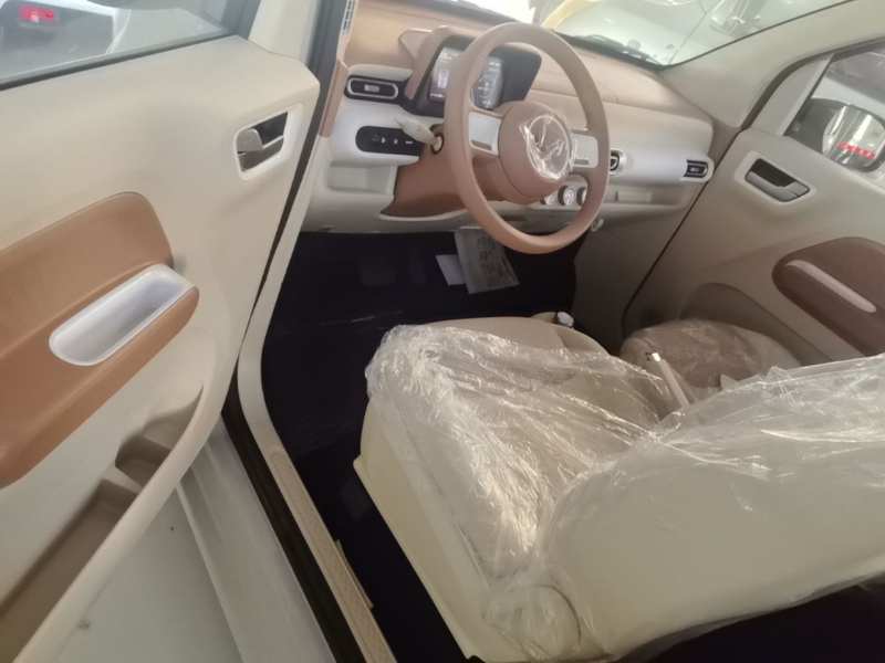 Used Wuling Hongguang MINIEV 2024 3rd Generation 215km Youth Edition — 15