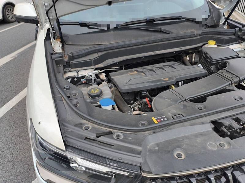 Used Haval H6 2023 National Trend Edition 1.5T Automatic Champion Version — 21