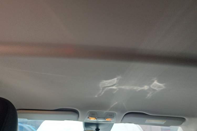 Used Hongqi E-QM5 2022 431 km Charge & Enjoy Edition Headliner