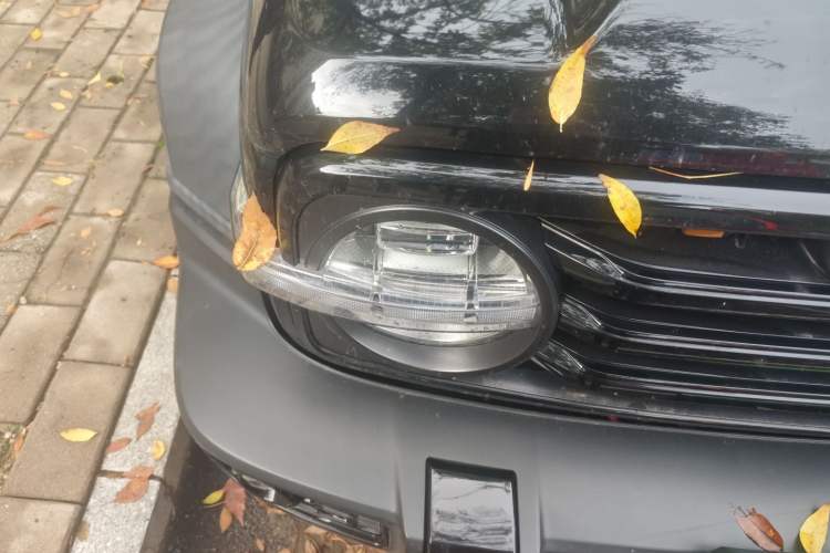 Used Tank 300 2021 Off-Road Edition 2.0T Conqueror