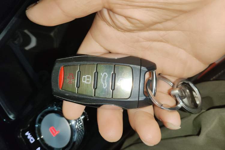 Used Haval DARGO 2022 2.0T DCT 4x4 Chinese Rural Dog Edition