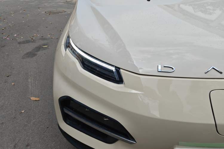 Used Dayun Yuehu 2021 32.85 kWh Two-Wheel-Drive Sprite Version
