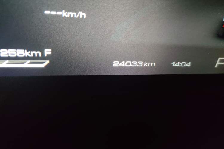 Used Tank 300 2024 2.0T Crosser