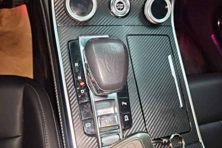 Used Hongqi H9 2020 2.0T Smart Connect Flagship Edition
