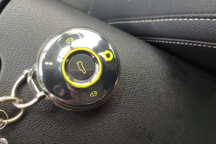 Used smart #1 2024 Dynamic Standard Edition Vehicle Key