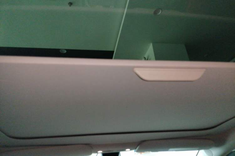 Used Tesla Model Y 2021 Performance High-Performance All-Wheel-Drive Version Headliner