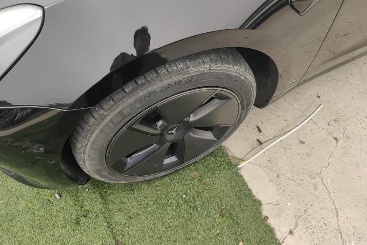 Used Tesla Model 3 2022 Rear-Wheel-Drive Version Exterior 4