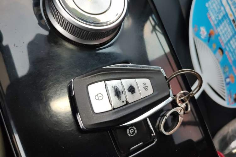 Used Geometry E Firefly 2023 320KM Cute & Handsome Tiger 5 Seats
