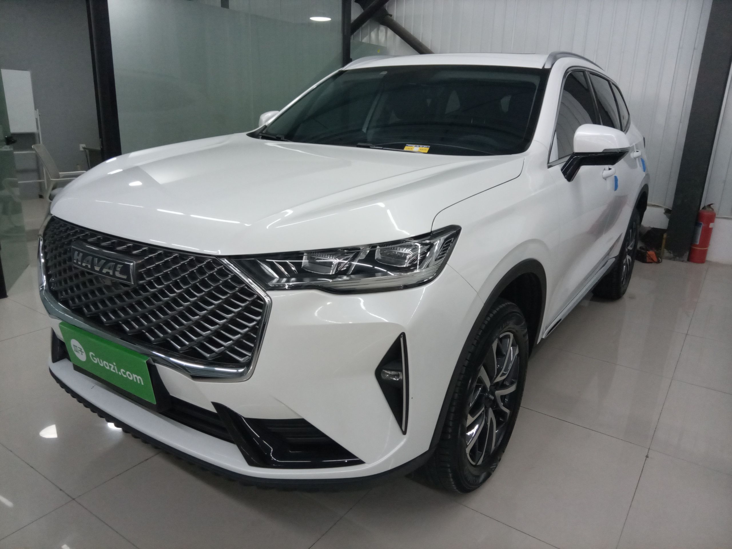 Parte inferior delantera