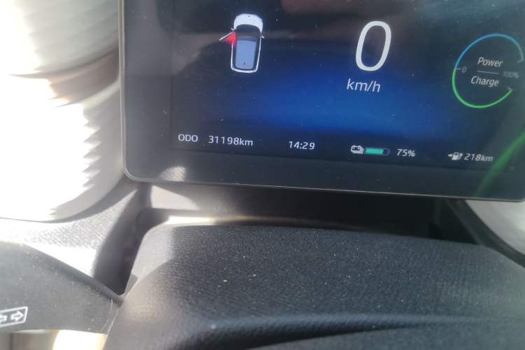 Used SOL E10X 2022 Flower Fairy Style Baby's Breath
