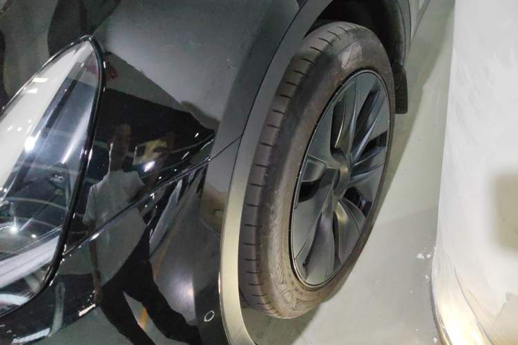 Used Tesla Model Y 2023 Rear-Wheel-Drive Version