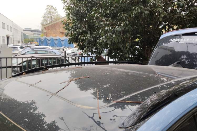 Used Volkswagen Tiguan L 2024 PRO 380TSI Four-Wheel Drive R-Line Prestige Edition
