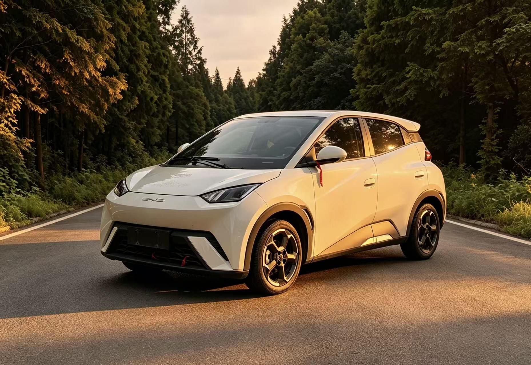 Under Front Bumper