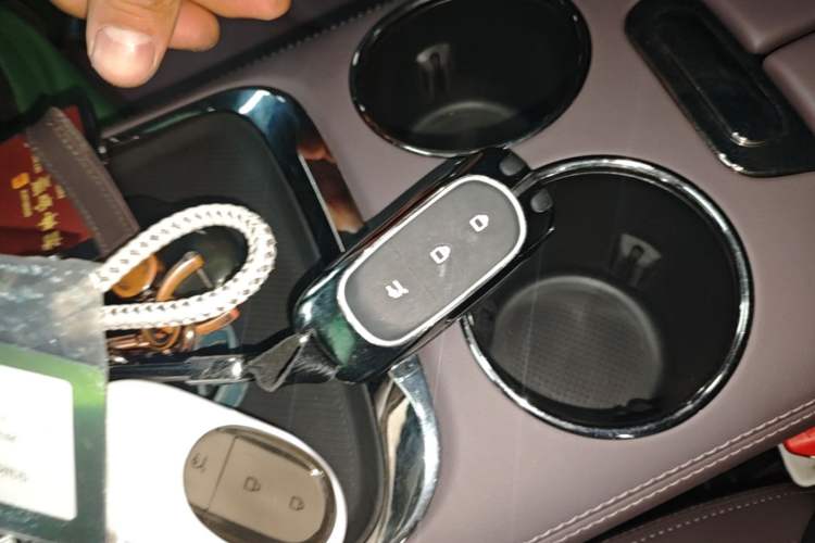 Used Leapmotor C11 2023 Range-Extended 285 Smart Enjoyment Edition