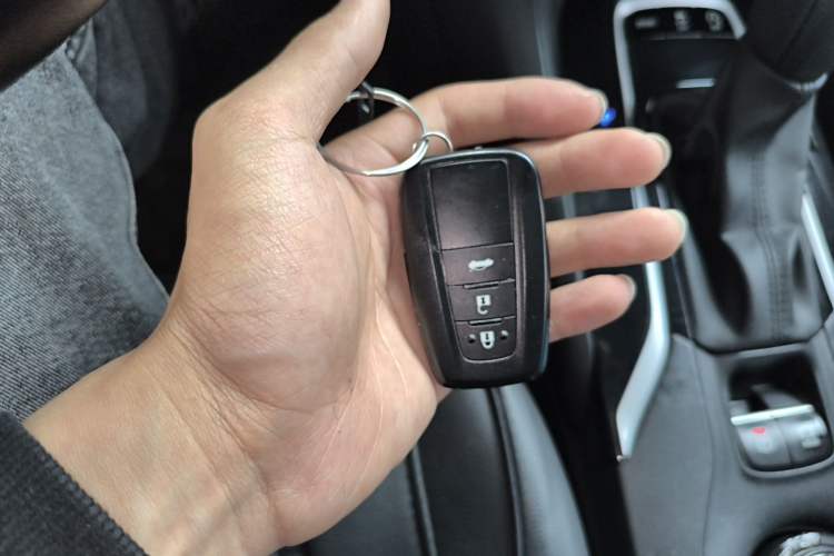 Used Toyota Levin 2019 185T CVT Luxury Edition China VI Standard
