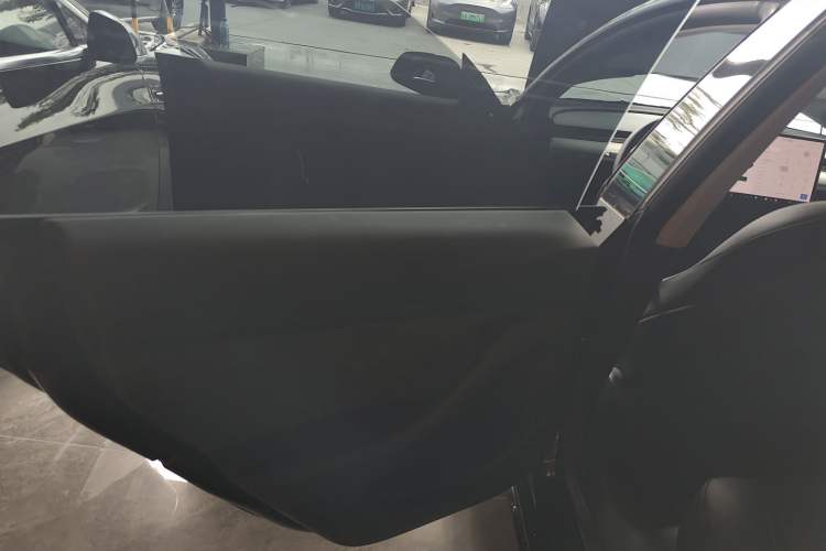Used Tesla Model 3 2021 Performance High-Performance All-Wheel-Drive Version Left Rear Door Interior