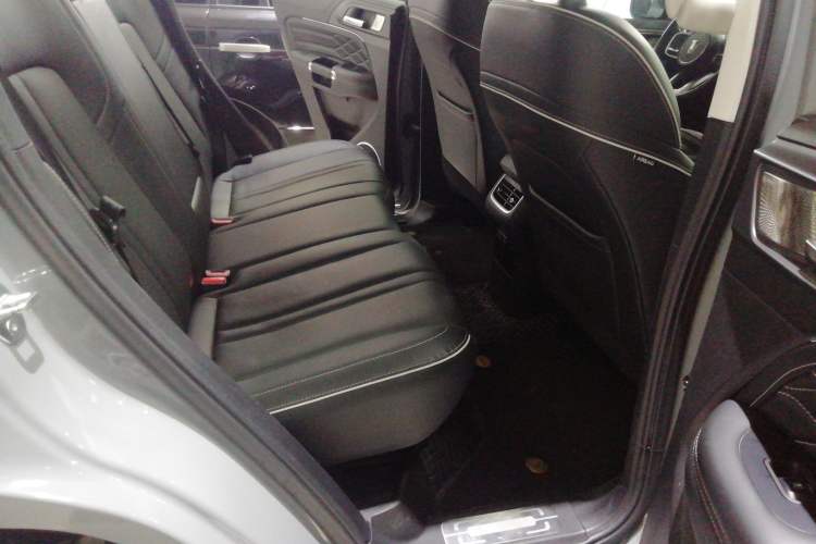 Used Tank 300 2023 2.0T Iron Rider 02