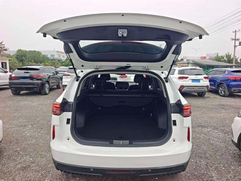 Used Haval H6 2021 3rd Generation 2.0T Automatic Two-Wheel Drive Max — 18