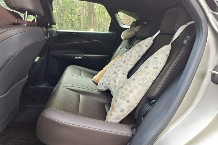 Used Lexus RX 2023 350h Two-Wheel Drive Comfort Edition Left Rear Seat