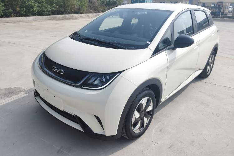 Used BYD Dolphin 2025 420km Free Edition