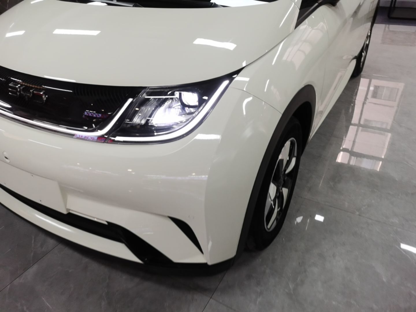 BYD Dolphin 2024 Honor Edition 420km Fashion Version — снимка 8